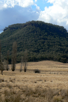  - Mount Clarence